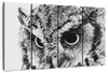 Staring Owl Wall Art