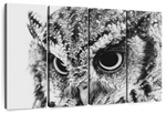 Staring Owl Wall Art
