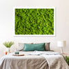 Green Reindeer Moss Wall Art