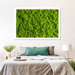 Green Reindeer Moss Wall Art
