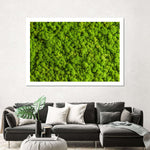 Green Reindeer Moss Wall Art