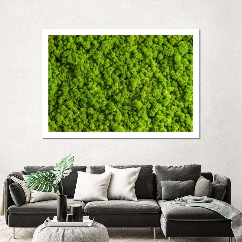 Green Reindeer Moss Wall Art