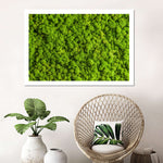 Green Reindeer Moss Wall Art