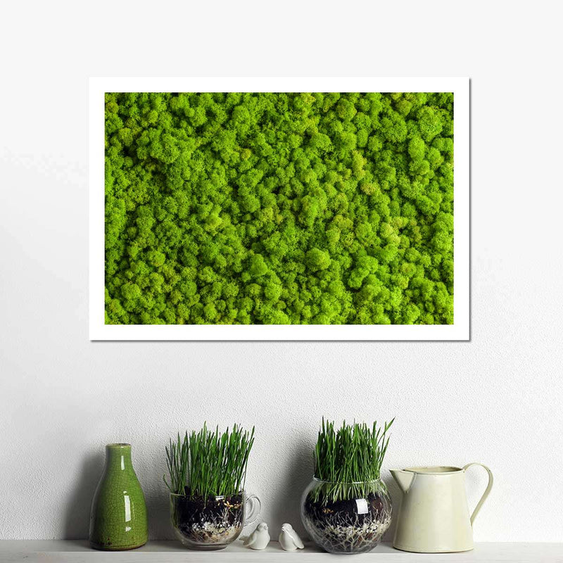 Green Reindeer Moss Wall Art