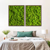 Green Reindeer Moss Wall Art