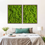 Green Reindeer Moss Wall Art