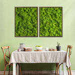Green Reindeer Moss Wall Art