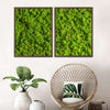 Green Reindeer Moss Wall Art