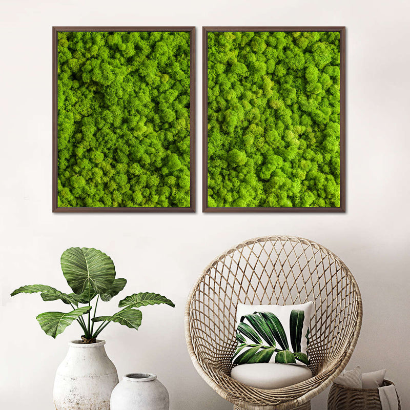 Green Reindeer Moss Wall Art