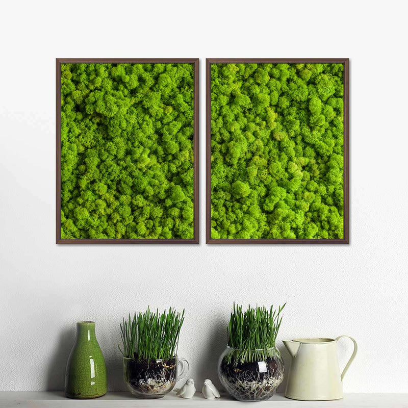 Green Reindeer Moss Wall Art