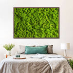 Green Reindeer Moss Wall Art