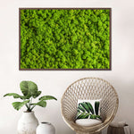 Green Reindeer Moss Wall Art