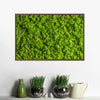 Green Reindeer Moss Wall Art