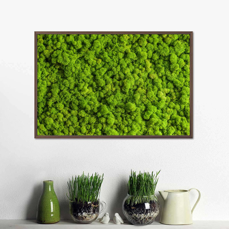 Green Reindeer Moss Wall Art