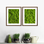 Green Reindeer Moss Wall Art