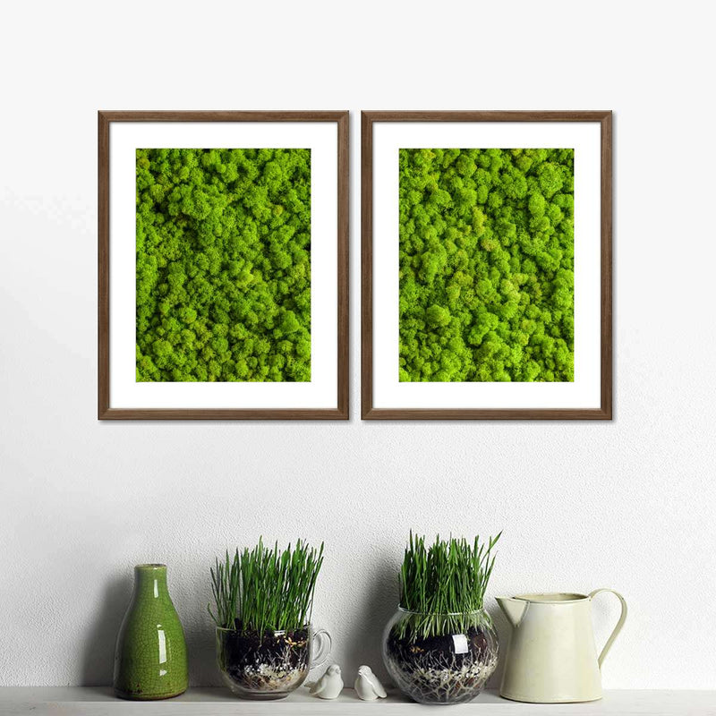 Green Reindeer Moss Wall Art