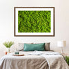 Green Reindeer Moss Wall Art