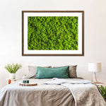 Green Reindeer Moss Wall Art