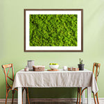 Green Reindeer Moss Wall Art