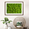 Green Reindeer Moss Wall Art