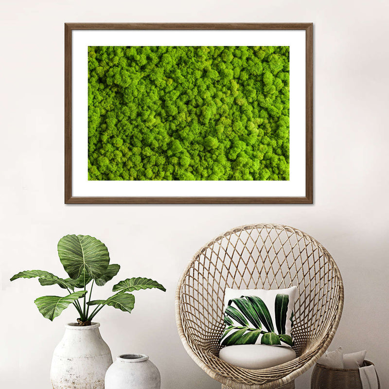 Green Reindeer Moss Wall Art