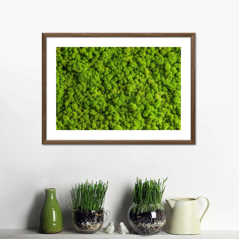 Green Reindeer Moss Wall Art