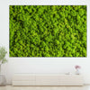 Green Reindeer Moss Wall Art