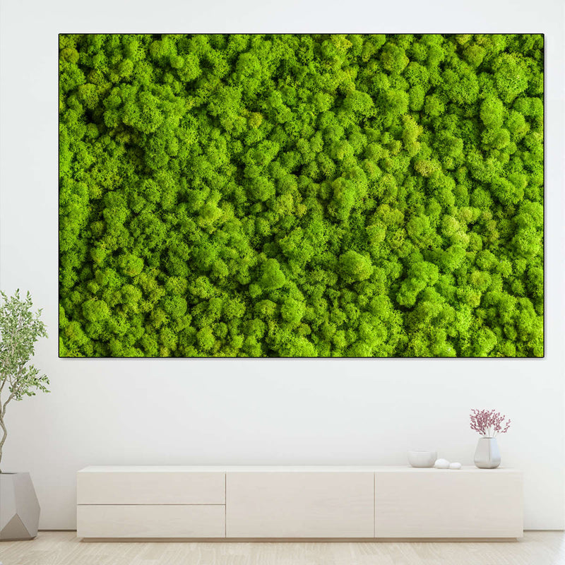 Green Reindeer Moss Wall Art