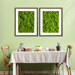 Green Reindeer Moss Wall Art