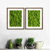 Green Reindeer Moss Wall Art
