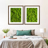 Green Reindeer Moss Wall Art