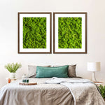 Green Reindeer Moss Wall Art
