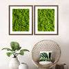 Green Reindeer Moss Wall Art