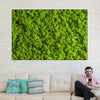 Green Reindeer Moss Wall Art
