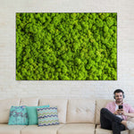 Green Reindeer Moss Wall Art