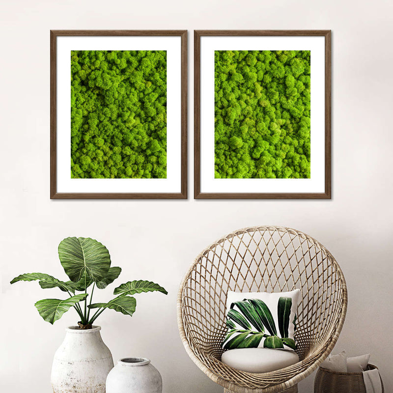 Green Reindeer Moss Wall Art