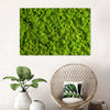 Green Reindeer Moss Wall Art
