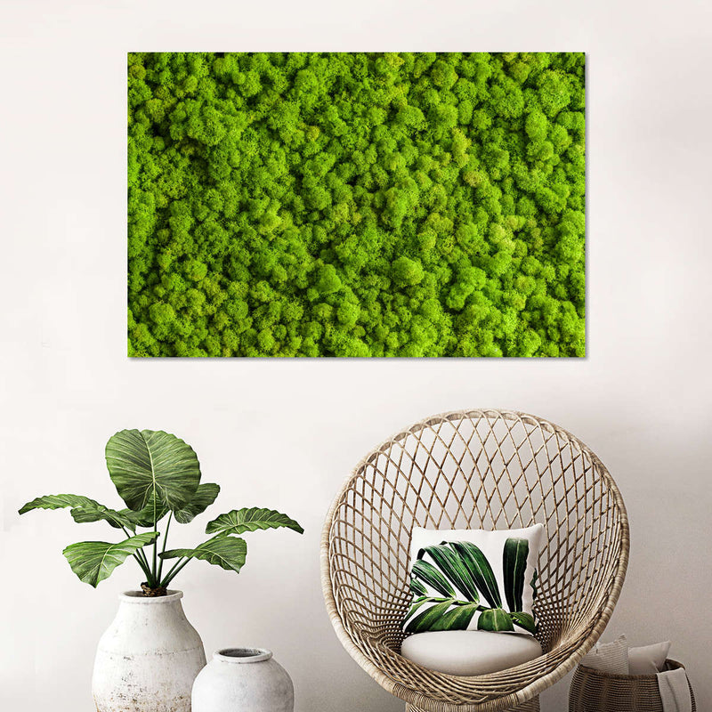 Green Reindeer Moss Wall Art