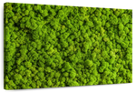 Green Reindeer Moss Wall Art
