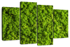 Green Reindeer Moss Wall Art