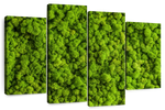 Green Reindeer Moss Wall Art