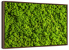 Green Reindeer Moss Wall Art