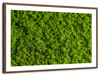Green Reindeer Moss Wall Art
