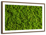 Green Reindeer Moss Wall Art