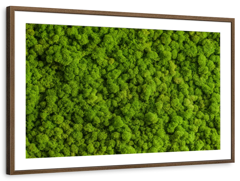 Green Reindeer Moss Wall Art
