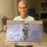 Colored Pet Memorial Sign