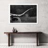 Texas Longhorn Cattle Wall Art