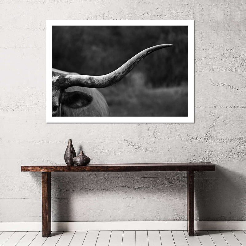 Texas Longhorn Cattle Wall Art
