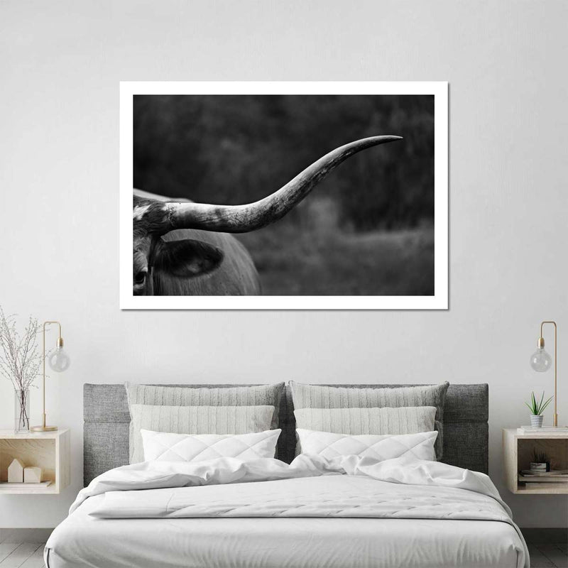 Texas Longhorn Cattle Wall Art