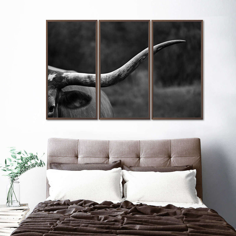 Texas Longhorn Cattle Wall Art